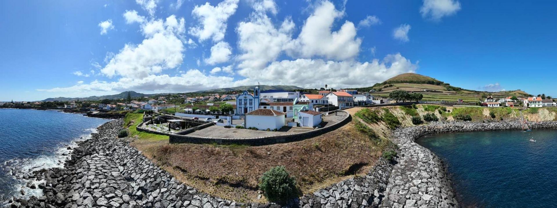 Canídeos